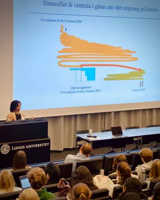 Emma Hammarlund giving a talk during UniStem Day 2024. Photo.
