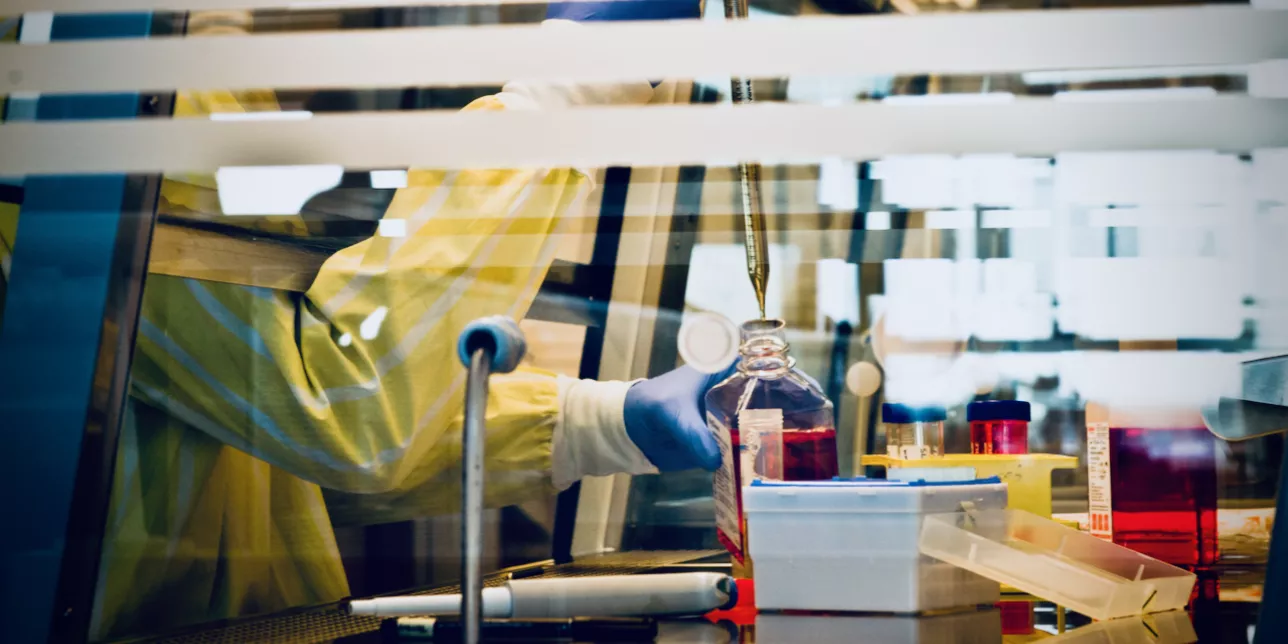 Photo of a person at the lab bench.