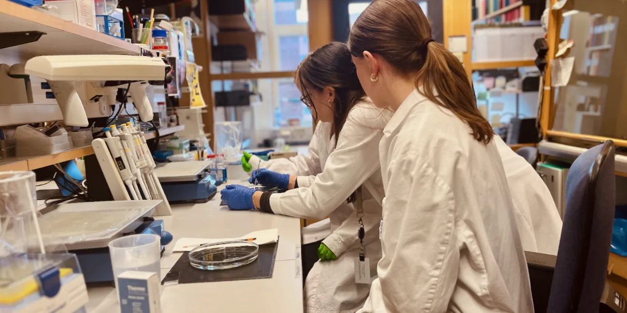 Photo from one of the UniStem Day 2025 workshops