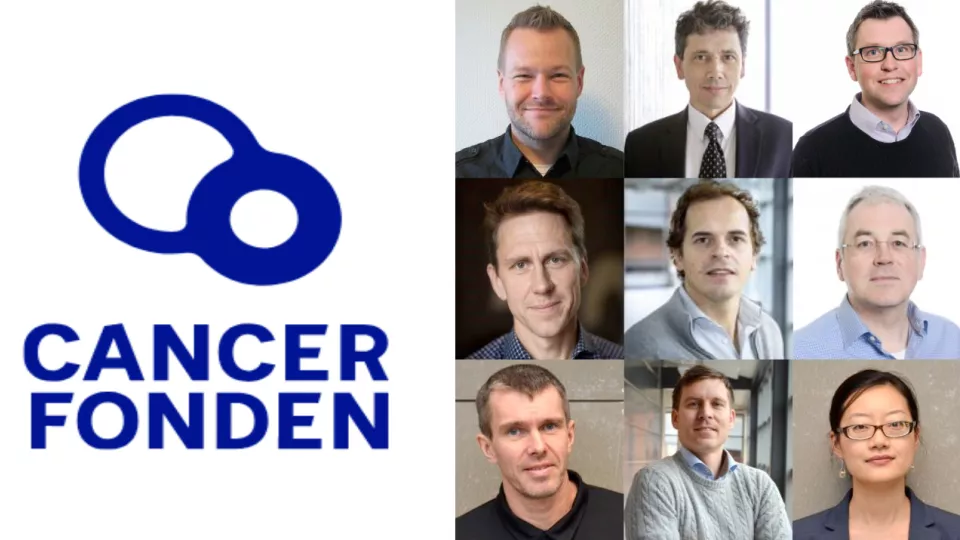 Researchers awarded funding from Cancerfonden. (left to right) Top row Henrik Ahlenius, Tariq Enver, Mattias Magnusson. Middle: Björn Nilsson, Filipe Pereira, Stefan Scheding. Bottom: Mikael Sigvardsson, Niels-Bjarne Woods, Joan Yuan.