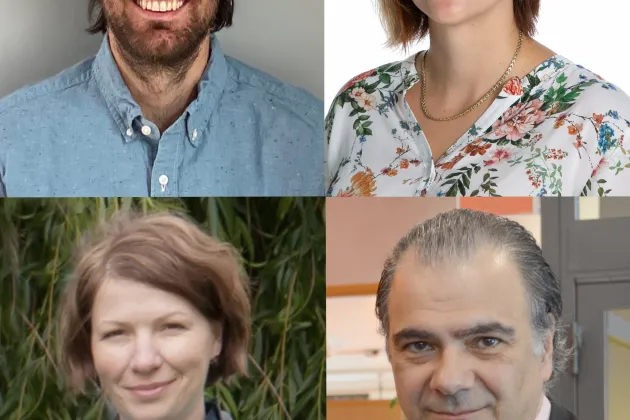 Nicholas Leigh (top left), Karolina Pircs (top right), Isabella Artner (bottom left) and Zaal Kokaia (bottom right) were all awarded funding from Vetenskapsrådet. 