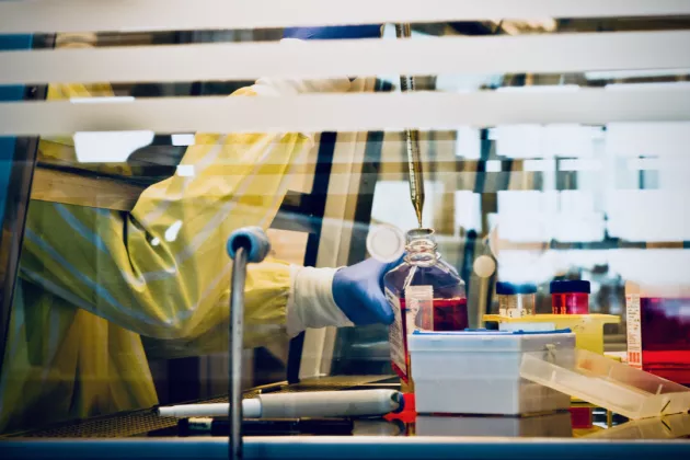 Photo of a person at the lab bench.