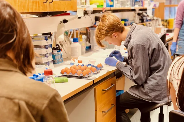 Photo of students in one of the UniStem Day 2024 workshops.