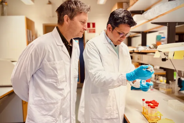 Photo of Marcus Järås and Somadri Ghosh in the lab.