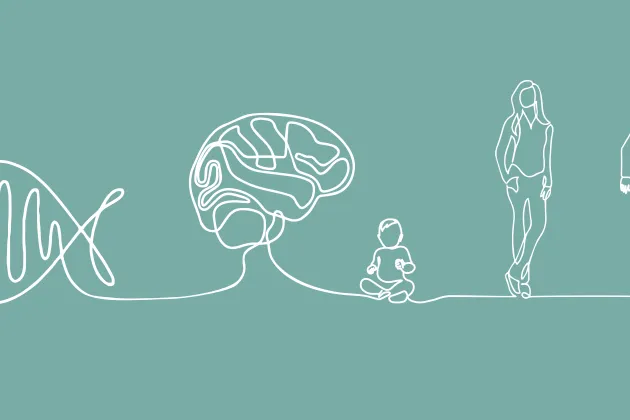 Line art graphic representing the research. Graphic.