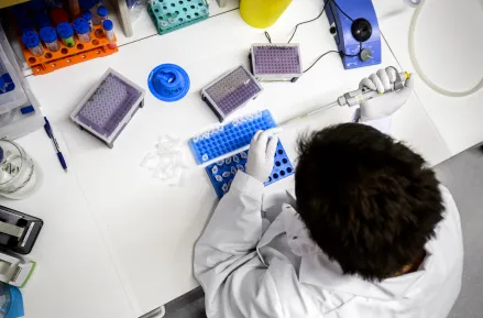 person at the lab bench