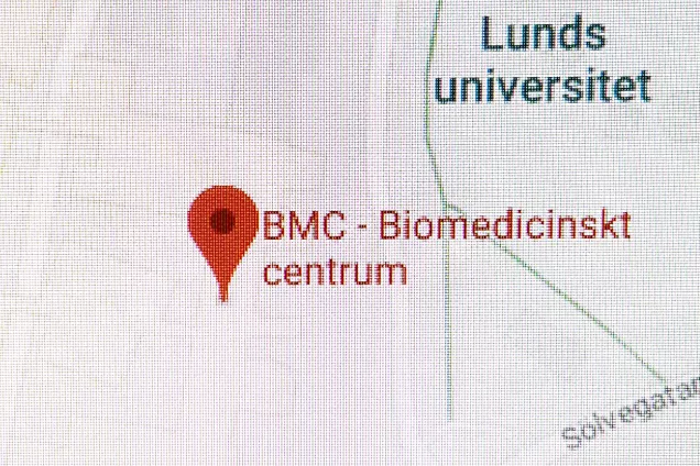 Google Maps BMC