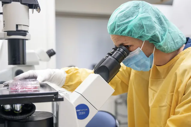 Pia Johansson at the microscope. photo.