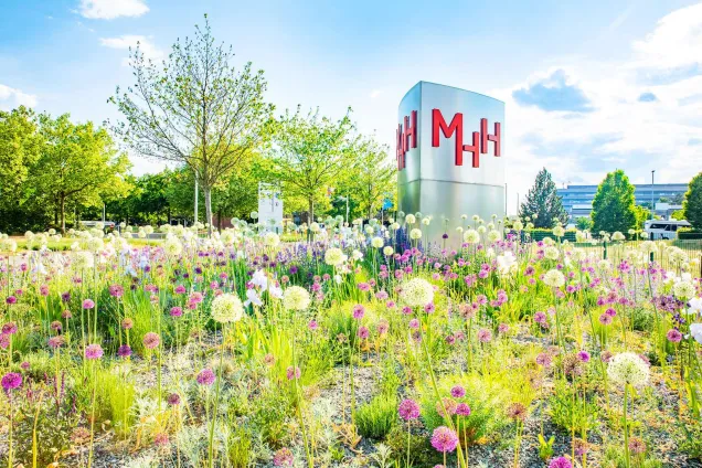The front of Hannover Medical School during summer.