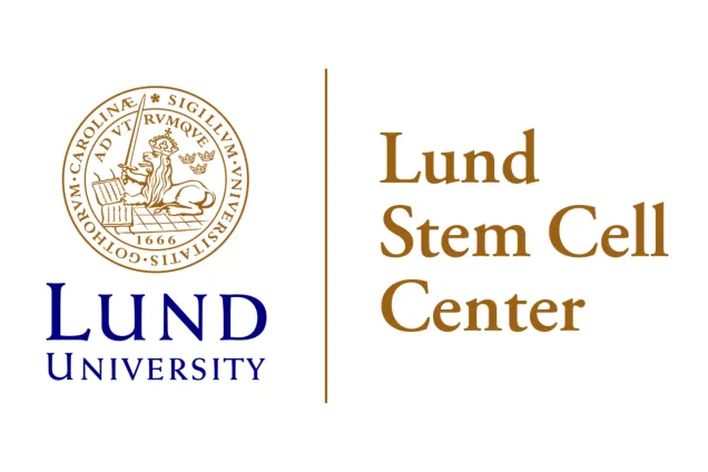 Lund Stem Cell Center sub-logo on white background.