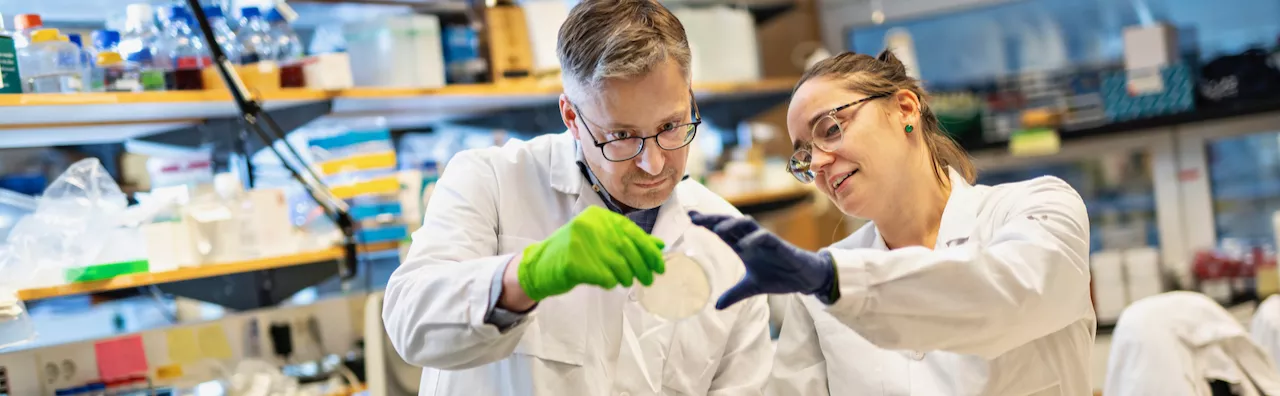 Photo of two researchers looking at a petri dish together.
