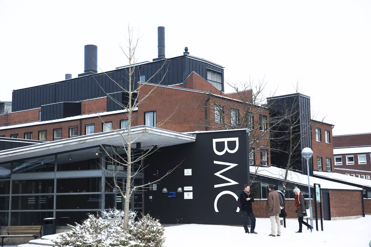Lund BMC Winter
