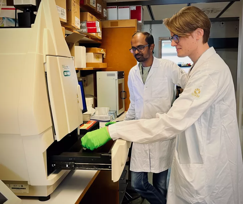 Photo of two researchers at the lab bench about to run a western-blot test.