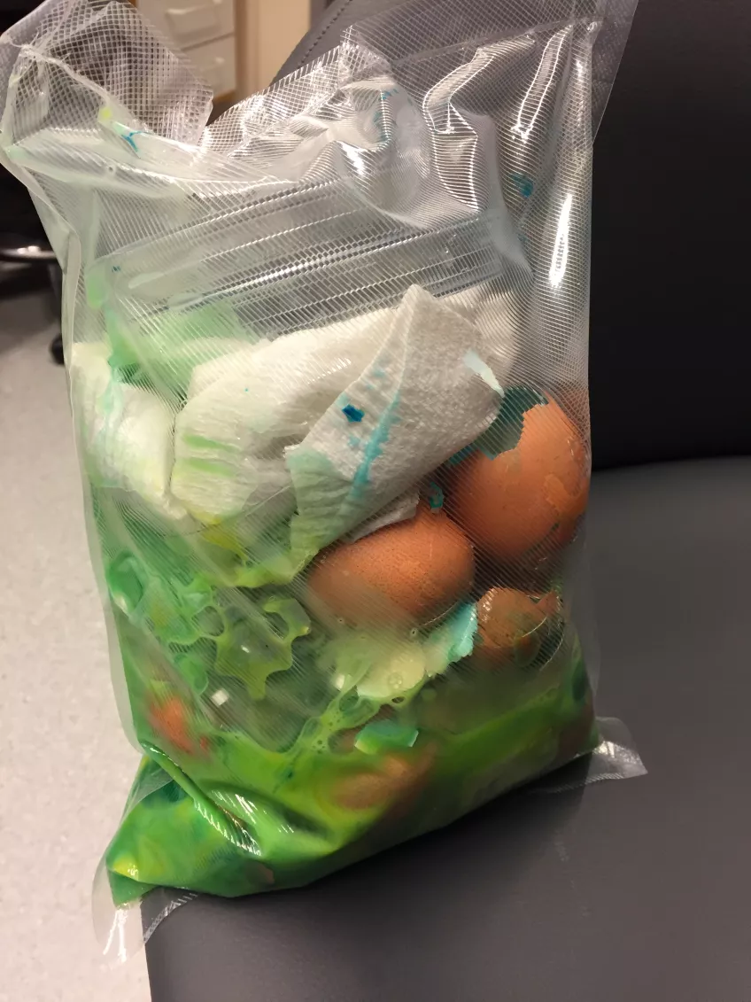 "After breakfast or science coming up?"