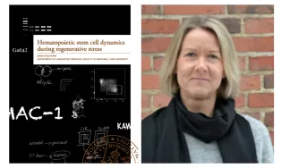 Image collage of Anna Rydström (right) and her thesis cover (left)